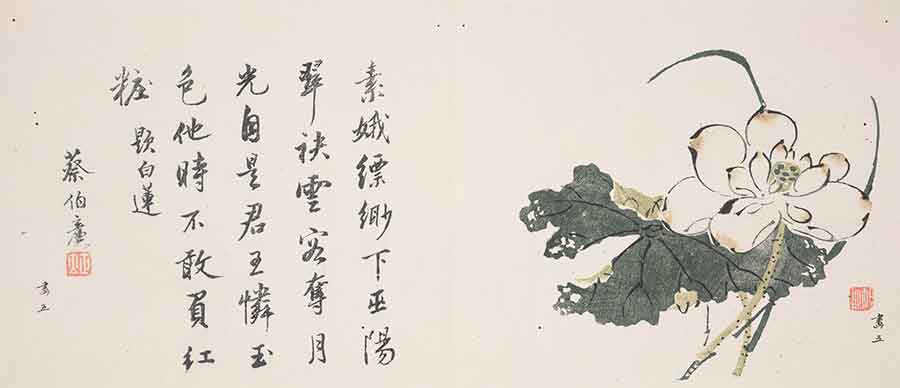 The lotus 蓮 (Nelumbo nucifera) has been a feature of ponds and lakes for such a long time that it is only through studies of its genome that it has been possible to trace its ancestry and origins. Woodblock image of a lotus by Hu Zhengyan 胡正言 in Ten Bamboo Studio Manual of Calligraphy and Painting 十竹齋書畫譜 Shi zhu zhai shu hua pu, vol. 3, fig. 5. Liu Fang Yuan Garden Collection. The Huntington Library, Art Collections, and Botanical Gardens.