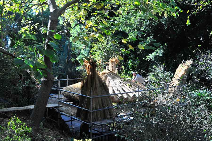 Thatcher William Cahill carefully places reeds on the roof of the Pavilion for Washing Away Thoughts (Di Lü Ting 滌慮亭). Photo by Andrew Mitchell.