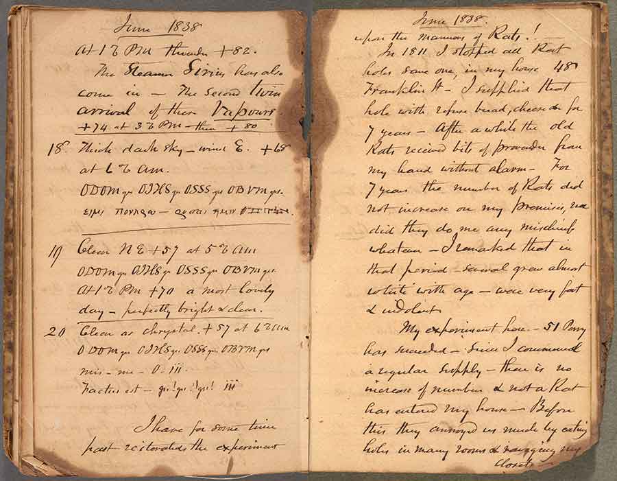 Henry Meigs writes about his experiment with rats in an entry of his diary for May 15, 1837–Dec. 16, 1838. The Huntington Library, Art Collections, and Botanical Gardens.