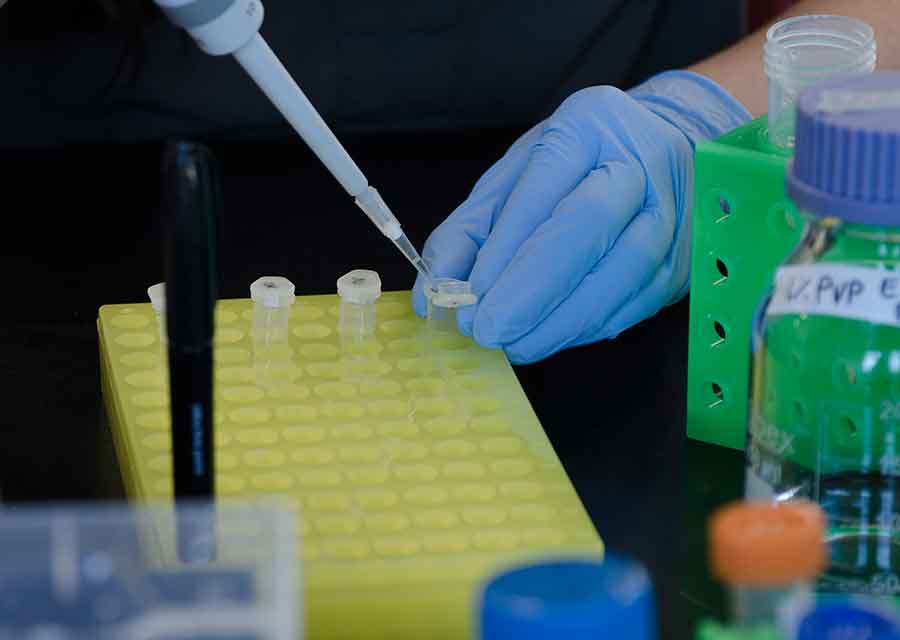 Dana Austria wields a pipette in the lab. Photo by Lisa Blackburn.