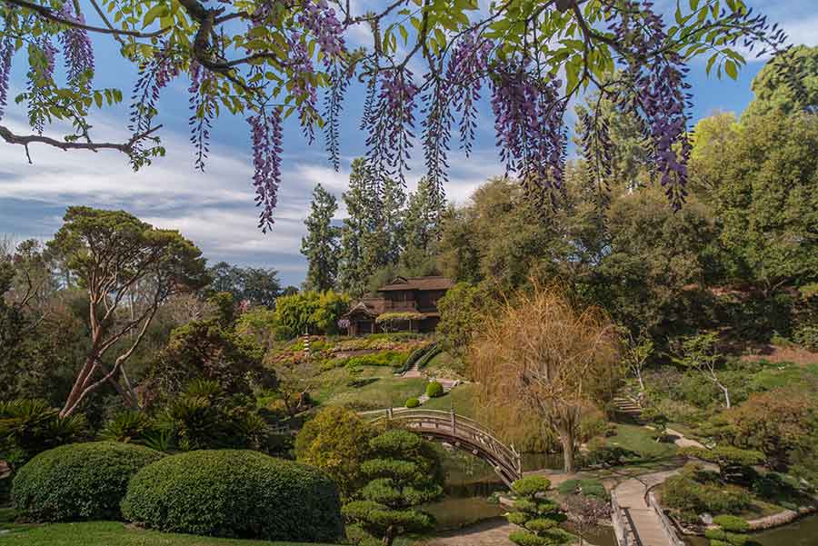 The Japanese Garden at The Huntington Library, Art Museum, and Botanical Gardens.