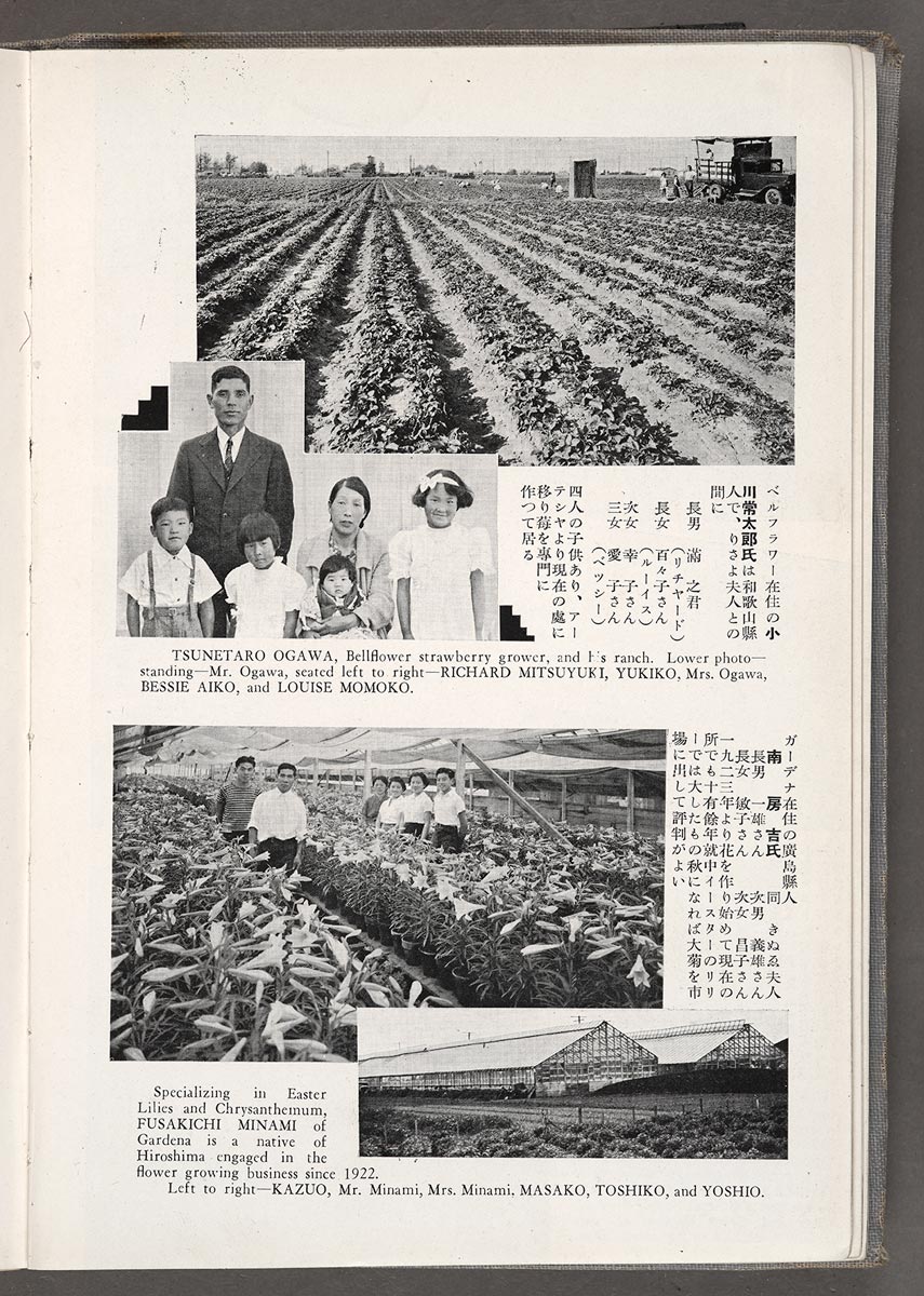 Tsunetaro Ogana, Bellflower strawberry grower, and Fusakichi Minami, Gardena lily and chrysanthemum grower, Rafu nenkan 羅府年鑑: The Year Book and Directory, 1939–1940. The Huntington Library, Art Museum, and Botanical Gardens.