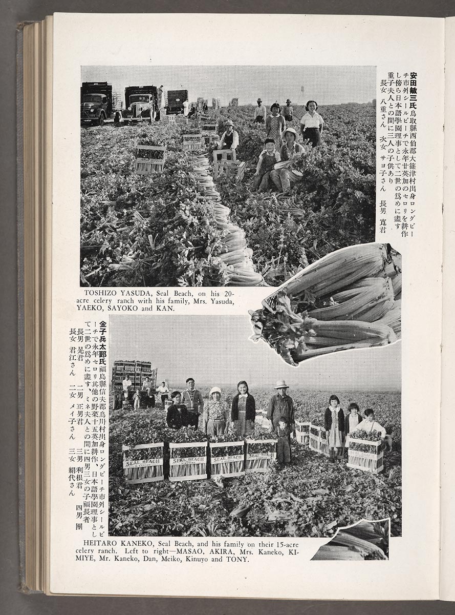 Toshizu Yasuda, Seal Beach celery grower, Rafu nenkan 羅府年鑑: The Year Book and Directory, 1939–1940. The Huntington Library, Art Museum, and Botanical Gardens.
