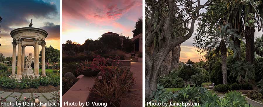 Montage of photos of the garden in the evening